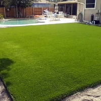 Artificial Grass Carpet Wise, Virginia Lawn And Garden, Backyard Landscape Ideas