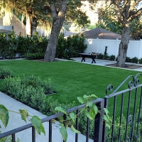 Artificial Grass Gainesville, Virginia Rooftop, Front Yard Ideas