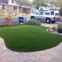 Artificial Lawn Savageville, Virginia Backyard Playground, Front Yard Design