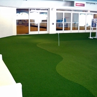 Artificial Turf Cost Alexandria, Virginia Indoor Putting Green, Commercial Landscape