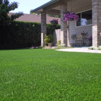 Artificial Turf Cost Coeburn, Virginia Rooftop, Front Yard Landscaping