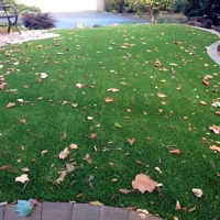 Fake Grass Carpet Centreville, Virginia Landscape Photos, Front Yard Landscaping