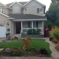 Fake Grass Carpet Fort Lee, Virginia Landscaping, Front Yard Landscape Ideas