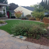 Fake Grass Carpet Washington, Virginia Garden Ideas, Front Yard Landscape Ideas