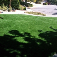 Fake Grass The Plains, Virginia Lawn And Landscape, Front Yard Design