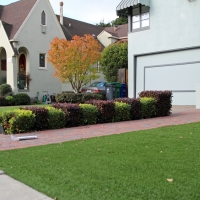 Fake Turf Colonial Heights, Virginia City Landscape, Front Yard