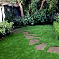 Fake Turf Leesburg, Virginia Landscaping, Backyard Ideas