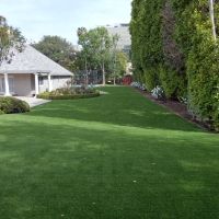 Fake Turf Cedar Bluff, Virginia Indoor Putting Green, Backyards