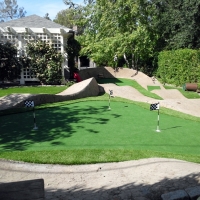 Grass Carpet Boston, Virginia Putting Green, Backyard Landscaping Ideas