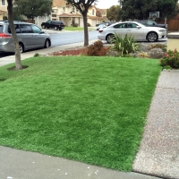 Grass Carpet Fairfax Station, Virginia Home And Garden, Landscaping Ideas For Front Yard