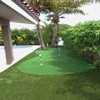 Grass Carpet Pennington Gap, Virginia Putting Green Grass, Backyard Landscaping