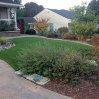 Grass Carpet Woodlawn, Virginia Design Ideas, Small Front Yard Landscaping