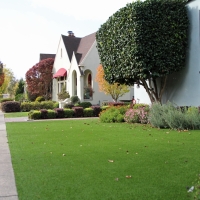 Grass Turf Lakeside, Virginia Landscape Design, Front Yard Landscape Ideas