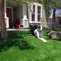 Grass Carpet Pennington Gap, Virginia Putting Green Grass, Backyard Landscaping