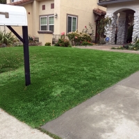 Grass Turf Vienna, Virginia Design Ideas, Front Yard