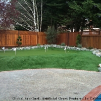 Green Lawn South Suffolk, Virginia Putting Green, Backyard Designs