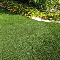 Installing Artificial Grass Port Royal, Virginia Home And Garden, Small Front Yard Landscaping