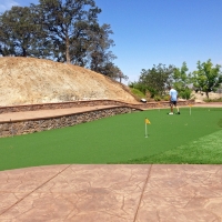 Plastic Grass Fort Chiswell, Virginia City Landscape, Backyard Landscape Ideas