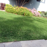 Plastic Grass Franconia, Virginia Lawn And Landscape, Front Yard Landscaping Ideas