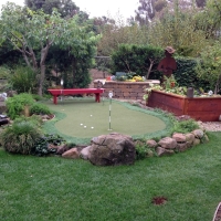 Synthetic Grass Greenbackville, Virginia Home And Garden, Beautiful Backyards