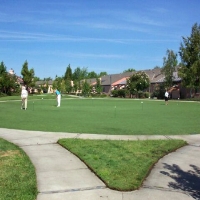 Synthetic Turf Blue Ridge Shores, Virginia Diy Putting Green, Commercial Landscape