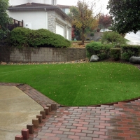 Turf Grass Phenix, Virginia Landscape Ideas, Backyard Landscaping Ideas