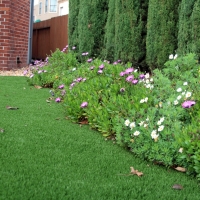 Turf Grass Yorkshire, Virginia City Landscape, Front Yard Landscape Ideas