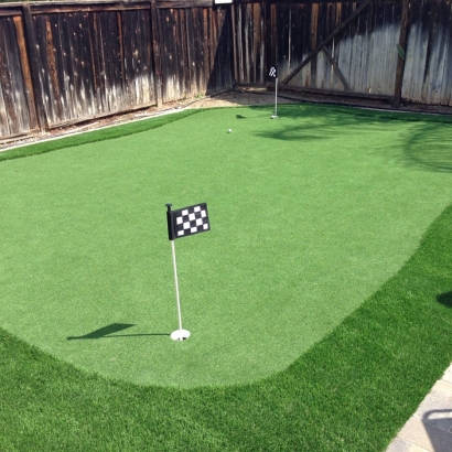 Artificial Lawn Sudley, Virginia Best Indoor Putting Green, Backyard Landscape Ideas