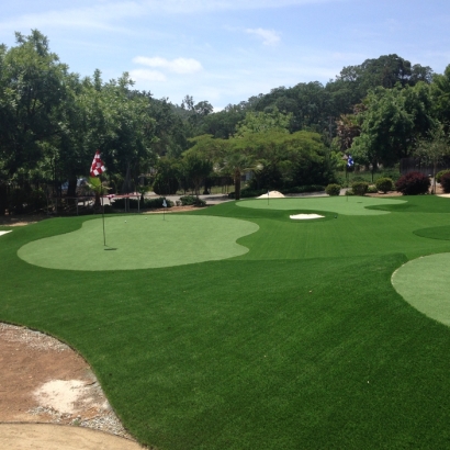 Artificial Turf Cost Clifton Forge, Virginia Roof Top, Front Yard