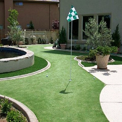 Artificial Turf Riverview, Virginia Best Indoor Putting Green, Backyard Design