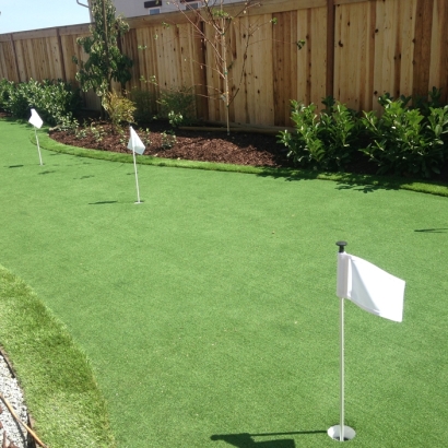 Fake Turf University Center, Virginia Artificial Putting Greens, Backyard