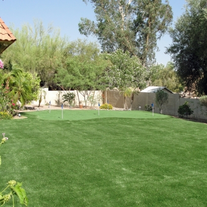 Faux Grass Windsor, Virginia Home Putting Green, Beautiful Backyards