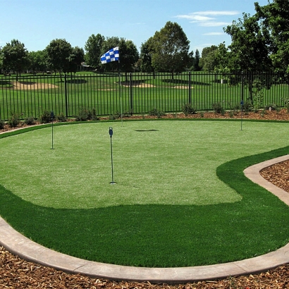 Synthetic Grass Elliston, Virginia Putting Green Flags, Front Yard Landscape Ideas