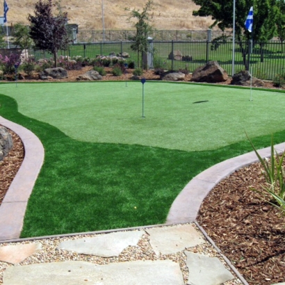 Synthetic Turf Supplier Harriston, Virginia Best Indoor Putting Green, Small Backyard Ideas