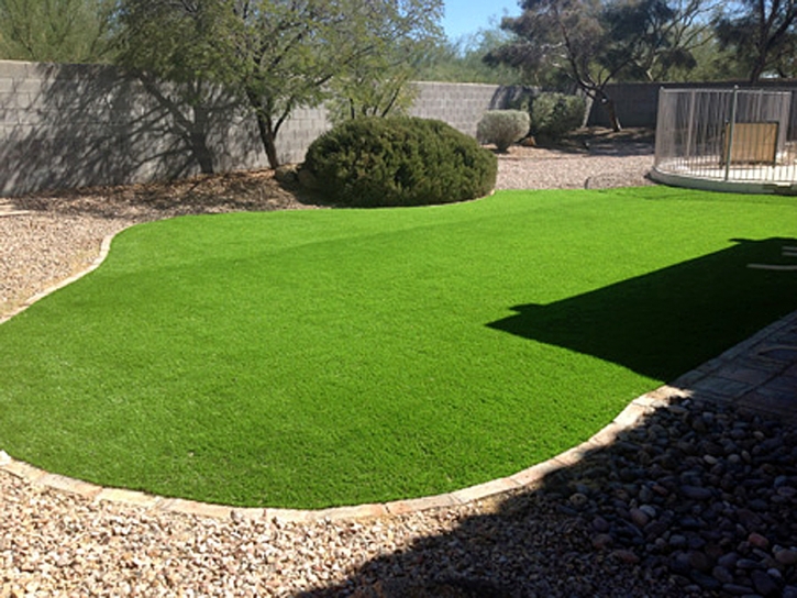 Artificial Grass Carpet Ebony, Virginia Rooftop, Backyard Makeover