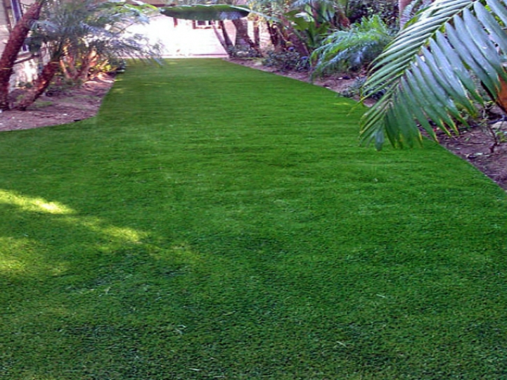 Artificial Grass Dranesville, Virginia Rooftop, Backyard Design