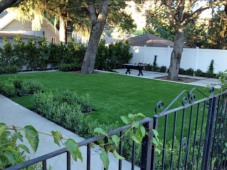 Artificial Grass Gainesville, Virginia Rooftop, Front Yard Ideas