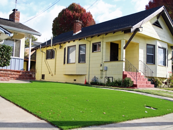 Artificial Grass Installation Altavista, Virginia Landscaping Business, Front Yard Design