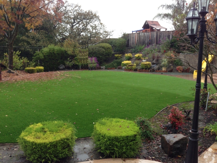 Artificial Grass Installation Free Union, Virginia Design Ideas, Backyard Landscaping