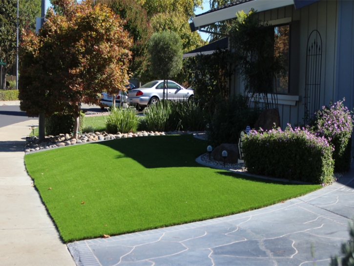 Fake Grass Carpet Lafayette, Virginia Home And Garden, Backyard Makeover