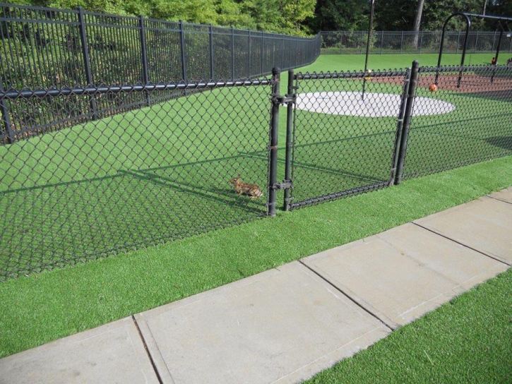 Artificial Grass Installation Shenandoah Farms, Virginia Lawns, Recreational Areas