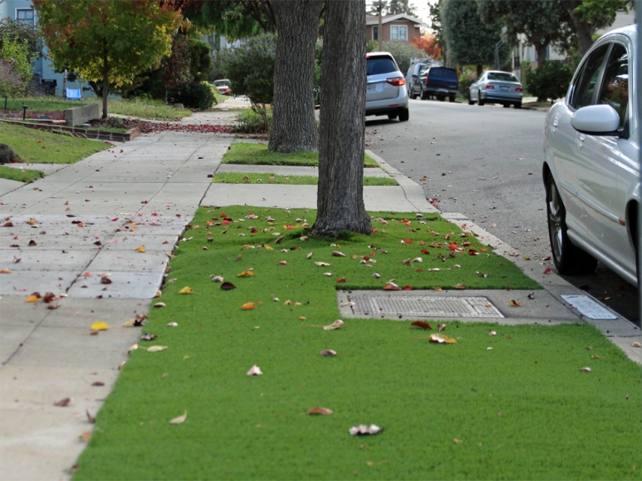 Artificial Grass Merrifield, Virginia Gardeners, Landscaping Ideas For Front Yard