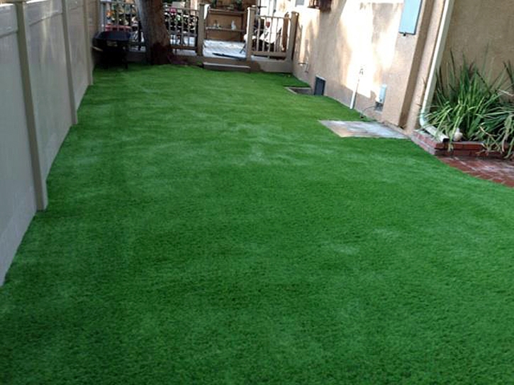 Artificial Grass Montclair, Virginia Landscape Photos, Backyards