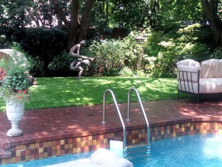 Artificial Grass Scotland, Virginia Rooftop, Above Ground Swimming Pool