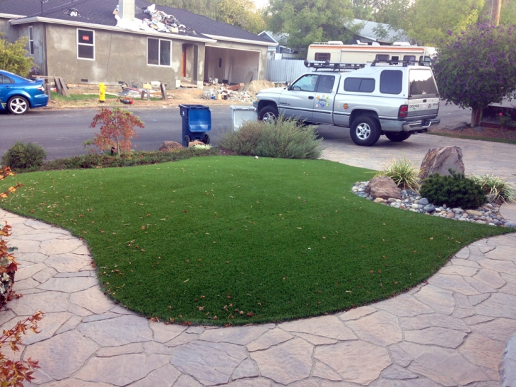 Artificial Lawn Savageville, Virginia Backyard Playground, Front Yard Design