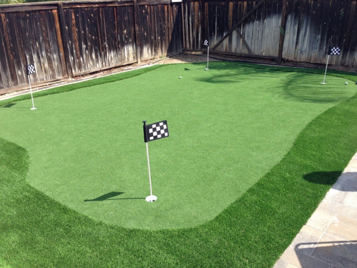 Artificial Lawn Sudley, Virginia Best Indoor Putting Green, Backyard Landscape Ideas