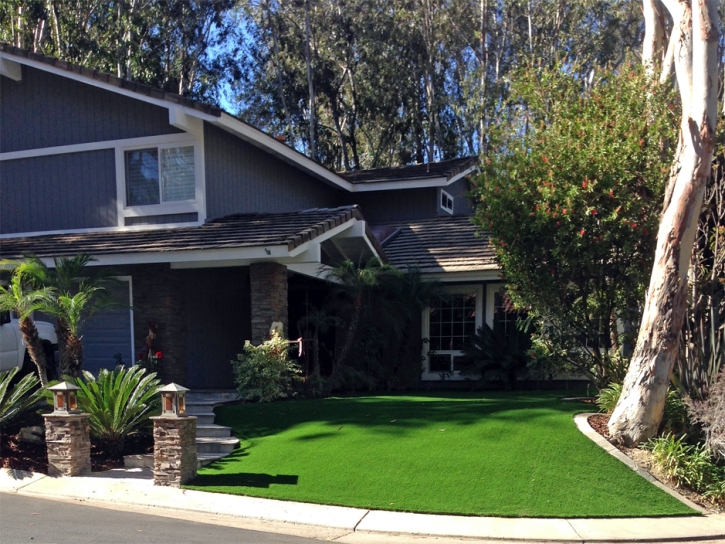 Artificial Lawn Triangle, Virginia Landscape Photos, Landscaping Ideas For Front Yard