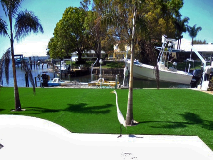 Artificial Turf Cost Charlottesville, Virginia Lawn And Landscape, Backyard Ideas