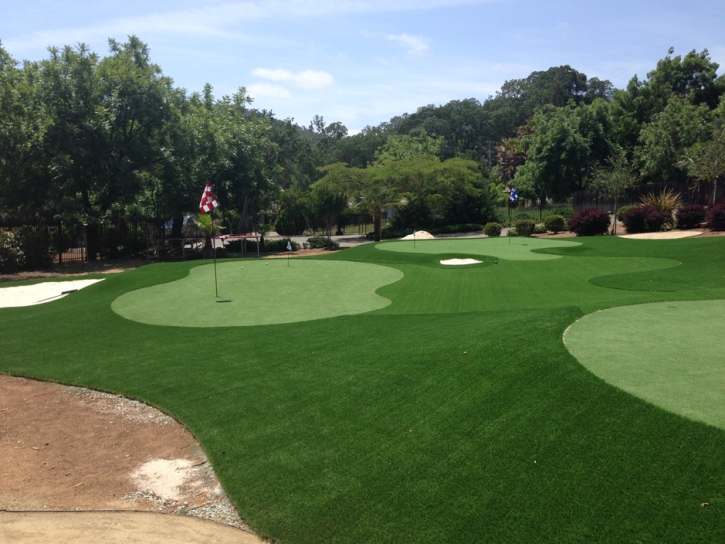 Artificial Turf Cost Clifton Forge, Virginia Roof Top, Front Yard