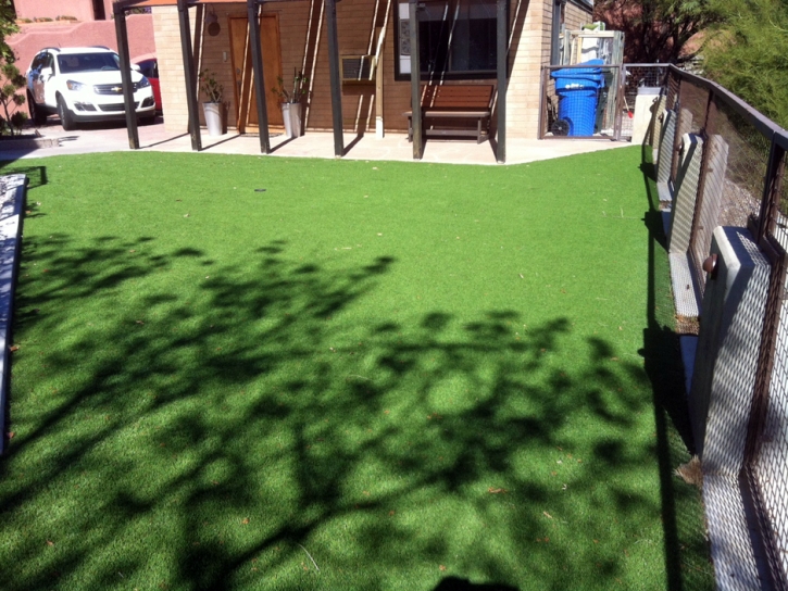 Artificial Turf Cost University Center, Virginia Lawn And Garden, Backyards